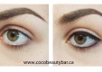 Permanent eyebrows hairstroke and eyeliners
